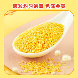 十月稻田 内蒙古 金苗黄小米 1kg