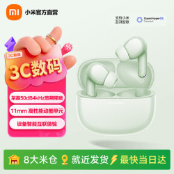 小米 REDMI 红米 Buds 8 入耳式动圈蓝牙耳机 萃青  Type-C