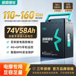智霸 锂电超长续航电摩大容量锂电三元锂电池
