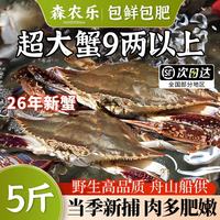 森农乐 舟山梭子蟹鲜活特大野生大螃蟹新鲜冷冻海鲜水产海蟹飞蟹白蟹 5-7两/只