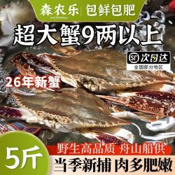 森农乐 舟山梭子蟹鲜活特大野生大螃蟹新鲜冷冻海鲜水产海蟹飞蟹白蟹 5-7两/只