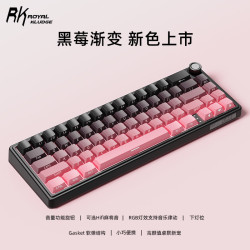 ROYAL KLUDGE RKR65机械键盘蓝牙电竞无线热插拔手感RGB游戏客制化键盘