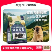 牛宠 蓝莓荷兰猪专用粮食提摩西草荷兰猪粮乳酸菌粮食益生菌豚鼠粮