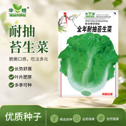 华煜 全年耐抽苔生菜半结球脆甜生菜籽四季阳台盆栽大棚种植蔬菜种子 全年耐抽苔生菜5克