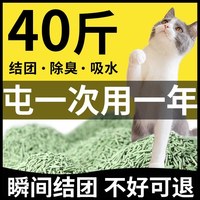 狼骑士 猫砂豆腐猫砂20公斤包邮除臭无尘40斤10活性炭猫沙实惠装可冲马桶