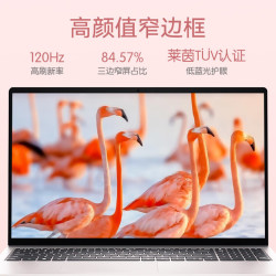 戴尔 灵越15Pro DC15250 15.6英寸学生办公便携商务家用电脑