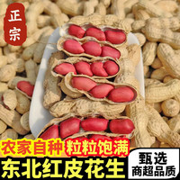 黄六爷 正宗东北红皮花生农家自种新鲜带壳生番豆可吃可脆甜爽口种 1斤（尝鲜首选）