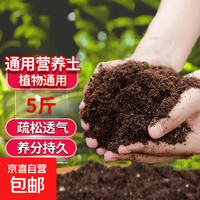 京东 营养土养花种菜土壤有机兰花多肉植物盆栽种植椰砖土通用型 有机营养土5斤【园艺师专研配方