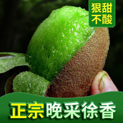 肴池 年货装晚采徐香猕猴桃即食净重5斤