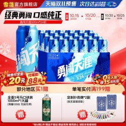 雪花 BEER 雪花 SNOWBEER BEER BEER 勇闯天涯 啤酒 500ml*24听