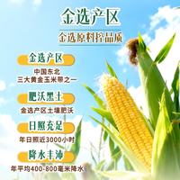 常安 非转基因压榨一级 5L 玉米油