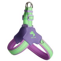 遛狗狗牵引绳大中小型犬外出专用可爱Y型马鞍式宠物胸背带