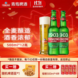 青岛啤酒 经典1903 500ml*12瓶 整箱装
