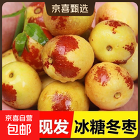山西庙上冬枣冰糖脆甜大枣新鲜水果果园直发 带箱2斤-净重1.8斤 单果8g+