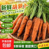 2026新鲜胡萝卜大果榨汁轻食沙拉减脂必备手抓饭蔬菜时令蔬菜 2斤 含箱