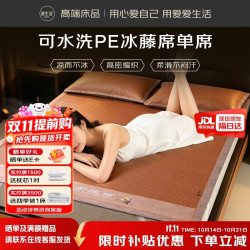 源生活PE环保藤席2026高端凉席新款加厚夏季席子可水洗1.5米床