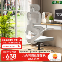 Gedeli C15人体工学椅电脑椅 动态追腰办公椅电竞椅久坐舒适转椅 灰+乳胶坐垫+可收纳扶手