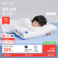 PLUS会员：蓝盒子 枕中枕N3记忆棉枕头成人深睡枕护颈枕新品抗菌防螨慢回弹10/12cm