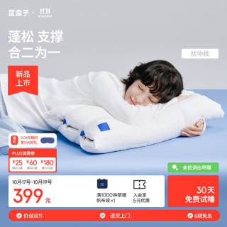 PLUS会员：蓝盒子 枕中枕N3记忆棉枕头成人深睡枕护颈枕新品抗菌防螨慢回弹10/12cm