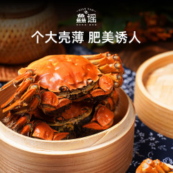 鱻谣 大闸蟹鲜活螃蟹 全公3.3-3.6两 8只装 生鲜活蟹中秋礼盒