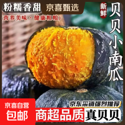 贝贝南瓜 板栗味小南瓜宝宝辅食代餐新鲜粉糯甜老南瓜批发 贝贝南瓜 7斤 净重