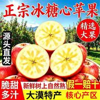 京觅 甘肃大漠冰糖心苹果净重8.5斤装 单果80mm+新鲜水果源头直发