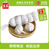 佳农 宝菜 大蒜头紫白皮干蒜产地金乡红皮蒜批发大果新鲜大蒜生鲜蔬菜 5条装（5头/条 单果约5.0cm）