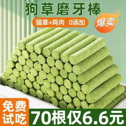 枝宠 狗狗零食狗草棒冻干磨牙棒猫犬通用助力化排毛口腔清洁成幼犬专用