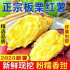 果乡趣 新鲜黄心板栗薯糖心红薯蜜番薯沙地烤地瓜农科院山芋当季香甜软糯