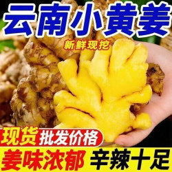 果乡趣 正宗云南大理高山小黄姜罗平新鲜生姜沙姜老姜月子姜当季嫩姜
