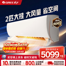 格力 KFR-50GW/(50521)FNhAb-B1(WIFI) 新一级能效变频冷暖 2匹 皓雪白 壁挂式空调