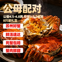 隆上記 大闸蟹 公4.5-4.8两母3.5-3.8两 8只装