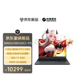 机械革命 蛟龙16Pro 2026款 16英寸 第八代锐龙版 灰色（锐龙R9-8945HX、RTX5060、16GB、1TB、2560*1600、180Hz）