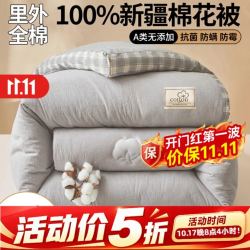 一默 A类裸睡级 纯棉新疆棉花被 简约方格灰 150*200cm