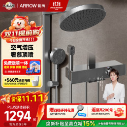 箭牌 K530 AE34216MZCP 淋浴花洒套装 灰色