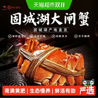 88VIP:椒乡 固城湖大闸蟹足重活蟹全母2.3-2.7两*8只