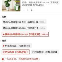 幸福树平安树绿植大盆栽室内客厅办公室四季常青招财植物净化空气  五层幸福树