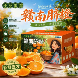 平晏果园 正宗江西赣南脐橙当季现摘手剥橙子孕妇新鲜水果批发直发