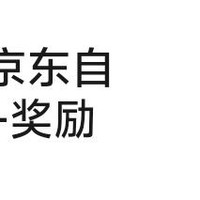 京东店铺 右侧浮标抽奖 10京东 试个手气