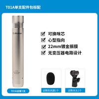 爱克创 T01A现场舞台专业电容麦克风管弦录音话筒演出乐器