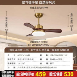 雷士 简约现代 风扇吊灯  无极调光 1个