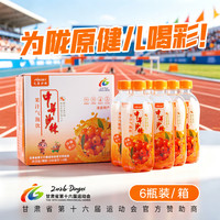 艾康沙棘 果汁气泡水饮料330ml*6瓶0脂含糖沙棘果汁饮料汽水
