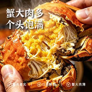 椒乡 固城湖大闸蟹 全母蟹 礼盒装