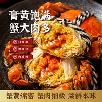 椒乡 固城湖大闸蟹 全母蟹 礼盒装