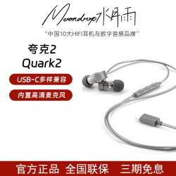 水月雨 Quark夸克2入耳式有线耳机typec高音质游戏会议音乐安卓