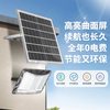 雷士照明 太阳能光感投光灯 庭院户外灯