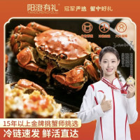 阳澄有礼 大闸蟹鲜活螃蟹公3.2-3.5两 母2.2-2.5两 4对8只 生鲜礼盒源头直发