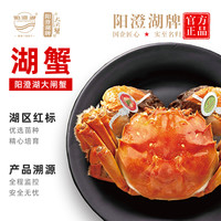 阳澄湖牌 阳澄湖大闸蟹 全母2.5两母蟹 8只装 礼盒 源头直发包邮