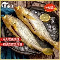 黄小渔 宁德三去黄花鱼 650g/2条 生鲜海鲜
