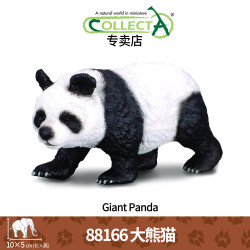 COLLECTA [品牌爆款]仿真动物模型 早教认知玩具 一站式选齐热销款 88166 大熊猫